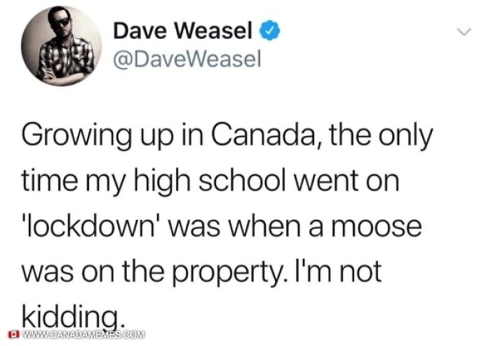 Canada meme text about high school lockdown triggered by a moose on the property, reflecting Canadian humor and culture.