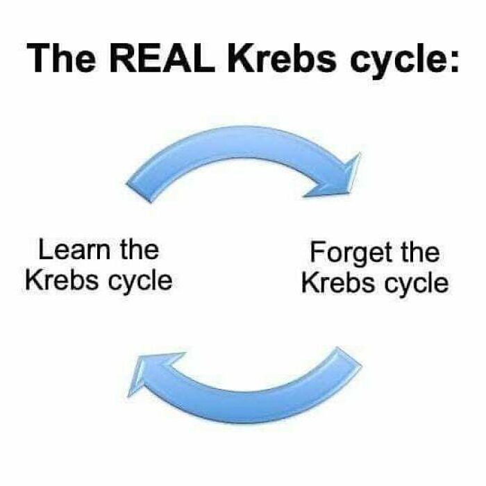 A humorous medical meme showing a cycle of learning and forgetting the Krebs cycle for tired doctors or patients.