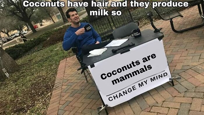 Man sitting outdoors at a table with a sign about coconuts, part of memes for doctors or patients tired of it all.