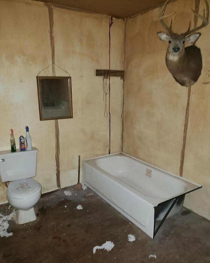 Bathroom with a damaged bathtub, old toilet, dirty floor, and a mounted deer head showcasing home design disasters.