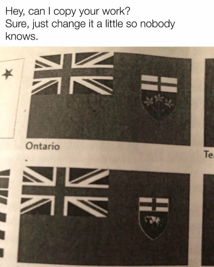 Meme showing two similar flags labeled Ontario with caption about copying work, in a collection of Canada memes.