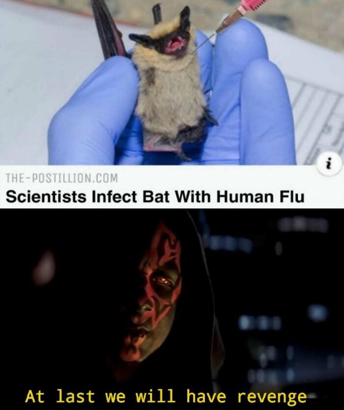 Scientist infects bat with human flu while a character ominously says they will have revenge in dark scene.