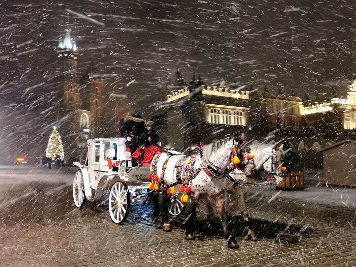 1st Place Winner, Water | Snow | Ice: Evening Ride By Beata Zawrzel