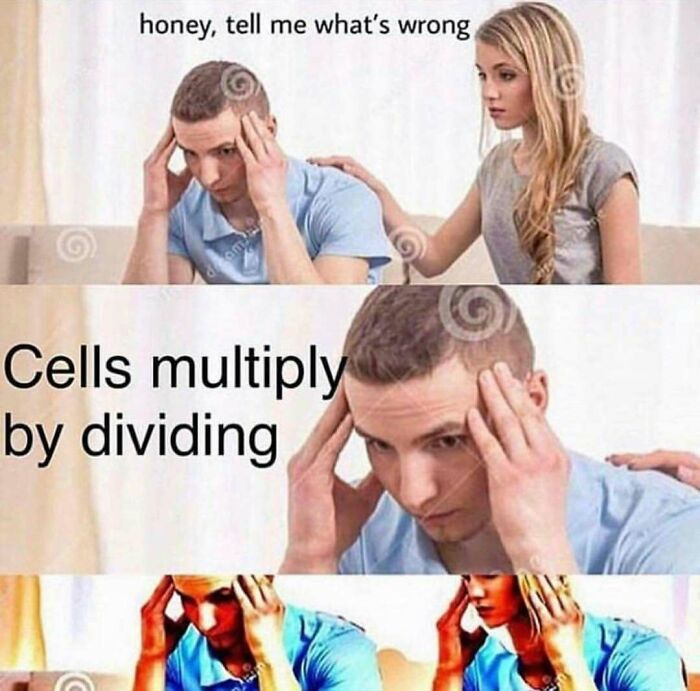 Tired man with hands on temples being comforted, illustrating a doctor or patient meme about cells multiplying by dividing.