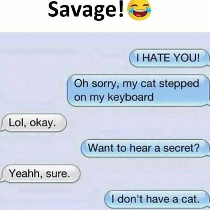 Funny text message conversation showing a savage and humorous exchange in funny texts that may or may not be real conversations.