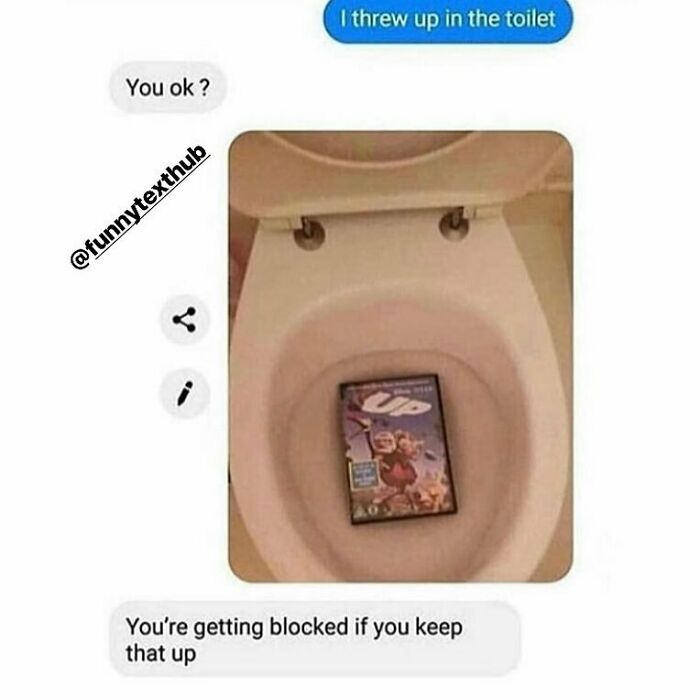 Text conversation showing a funny message about throwing up in the toilet with a DVD case inside, depicting funny texts.