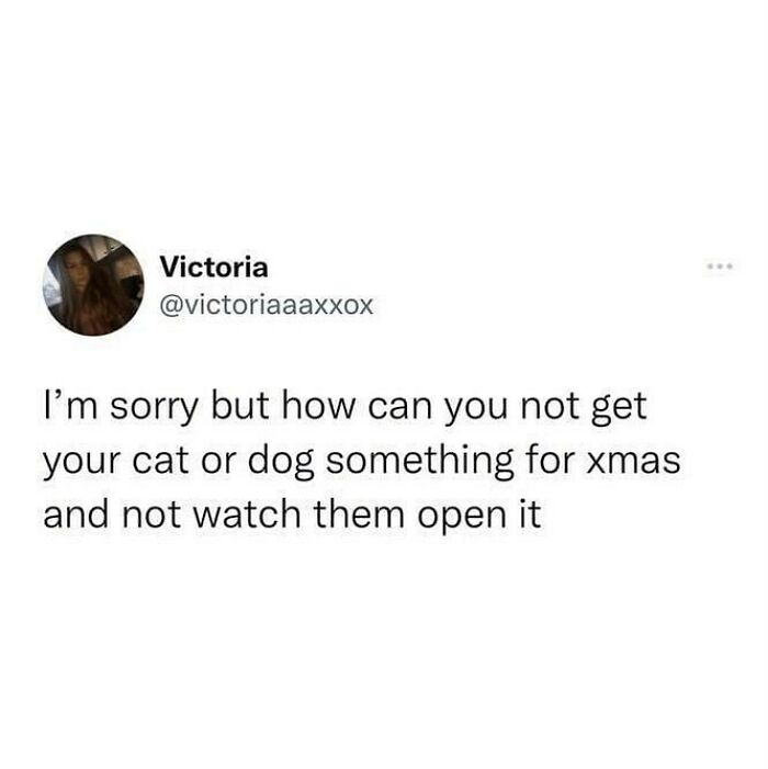 British humor meme about not getting pets a Christmas gift and watching them open it, shared by user Victoria on social media.