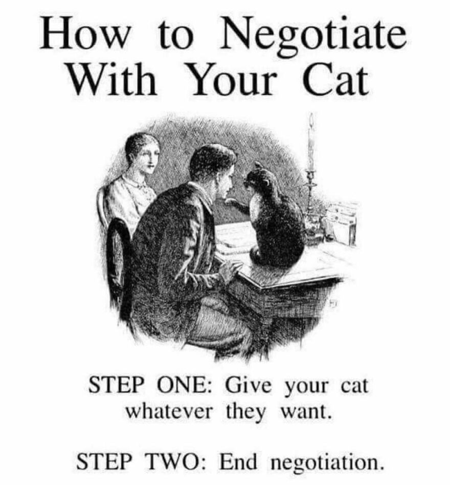 Vintage black and white illustration showing how to negotiate with your cat in a humorous cat meme style.