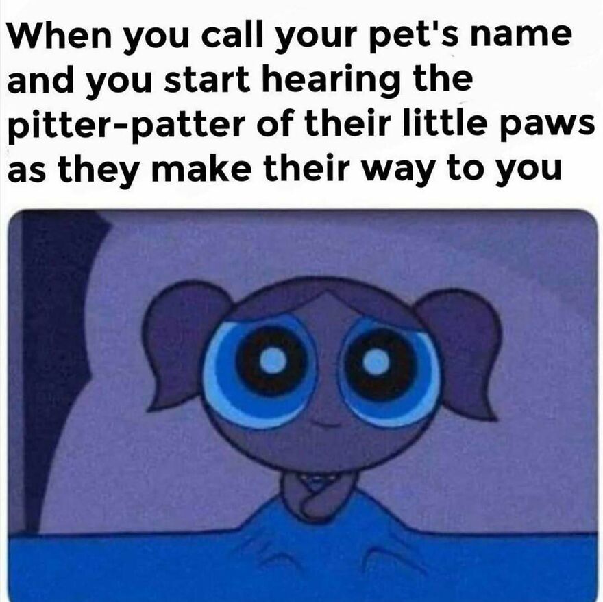 Cute cartoon character with big eyes smiling in bed representing the joy of cat memes and internet humor.