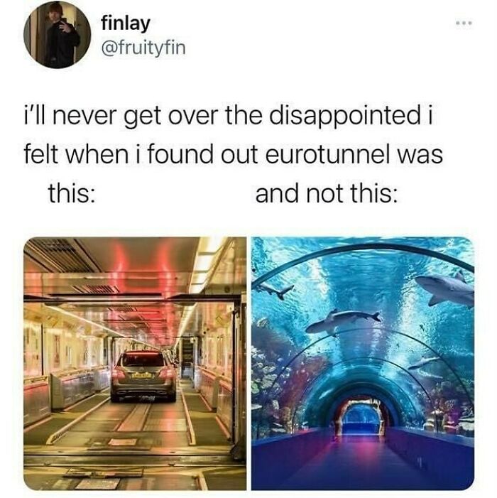 Meme comparing the Eurotunnel car passage to an underwater tunnel with sharks, highlighting British humor memes.