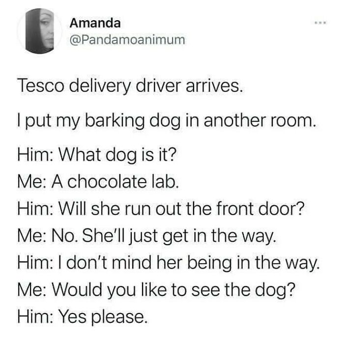 Text meme about a Tesco delivery driver and a chocolate lab dog, showcasing British humor and conversation style.