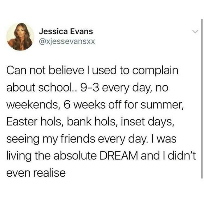 British humor meme reflecting on school days with holidays and daily friend time, appreciating past school life moments.