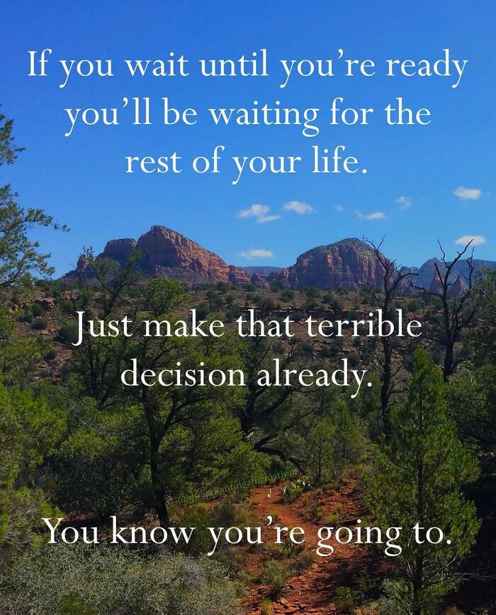 Scenic mountain landscape with trees and anti-motivational affirmations about making terrible decisions.