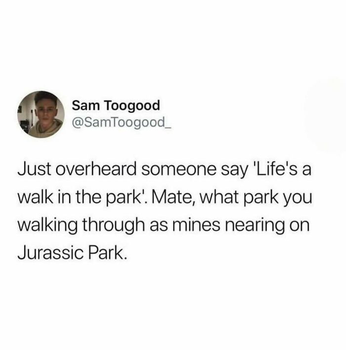 Tweet by Sam Toogood humorously comparing life to a difficult walk in a park, reflecting dry British humor memes.