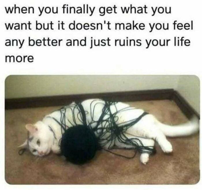 Cat tangled in yarn representing memes that might either cure or worsen your existential crisis feelings.