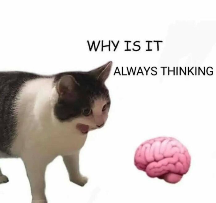 Cat looking confused at a cartoon brain with text about always thinking, a humorous existential crisis meme.