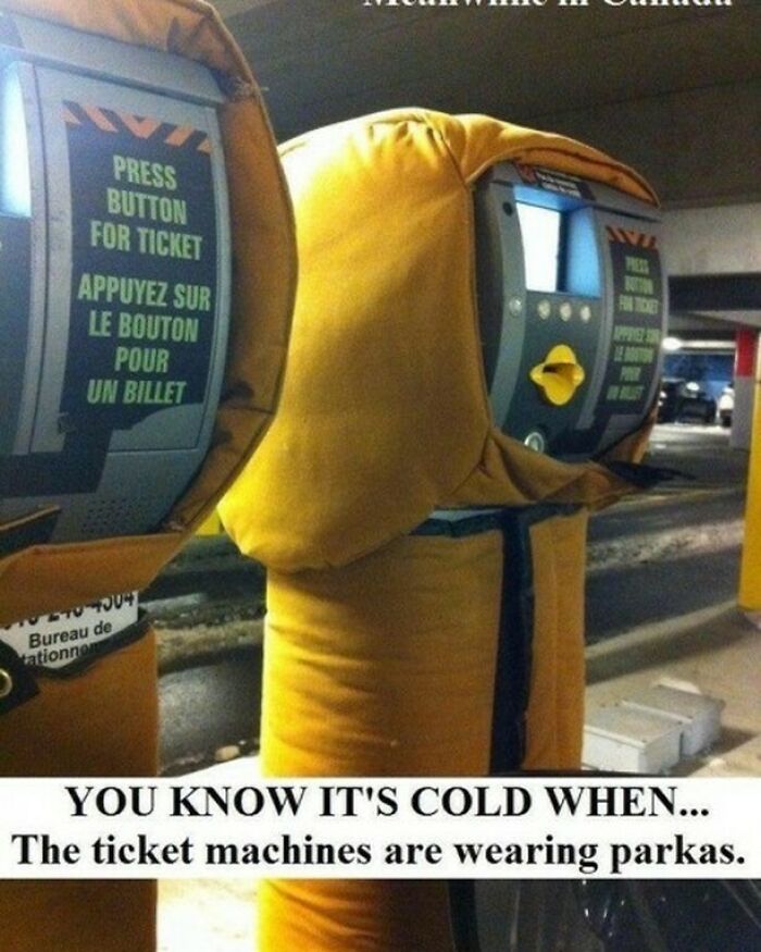 Ticket machines in Canada wearing yellow parkas in cold weather, illustrating funny Canada memes about the chilly climate.