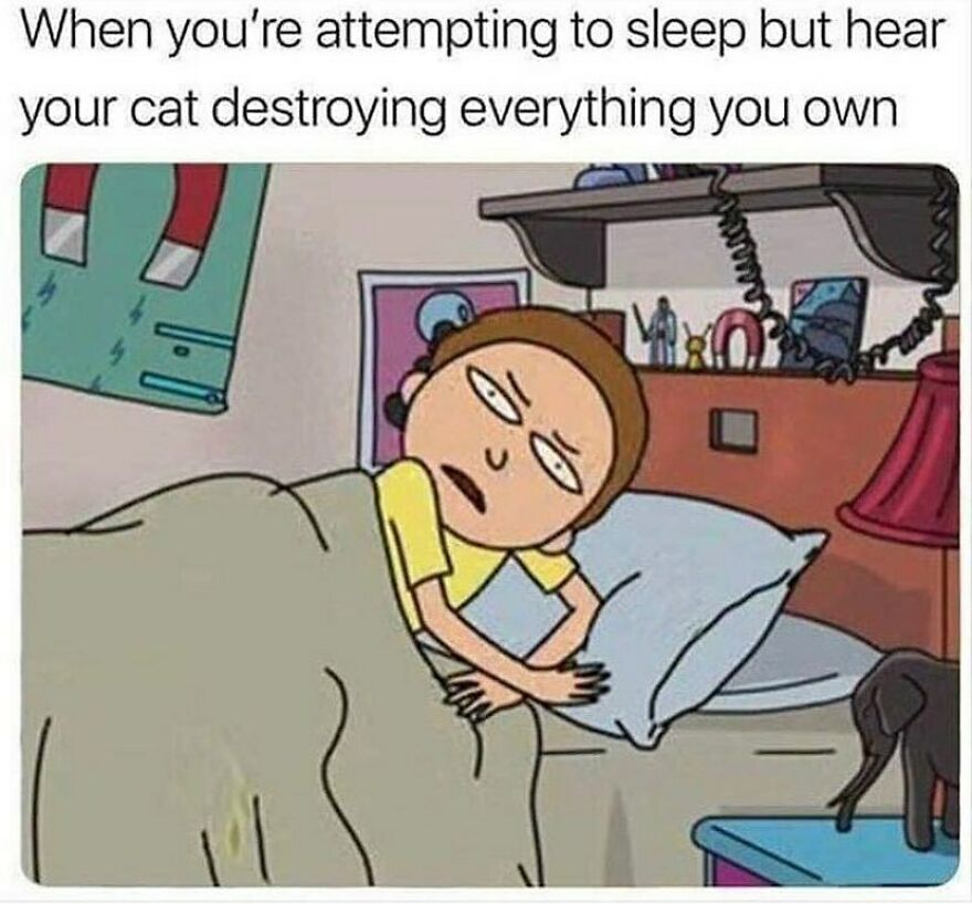 Person lying in bed looking annoyed as a cat is seen destroying things nearby in a chucklesome cat memes style.