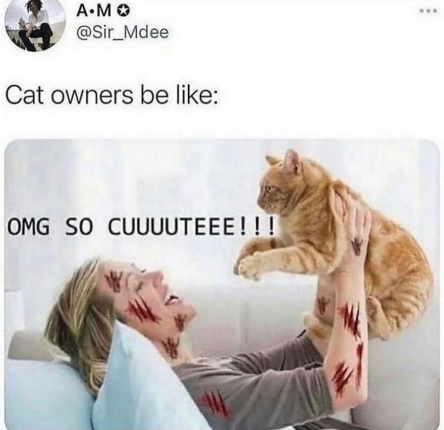 Woman with fake scratches on her skin holding an orange cat, illustrating chucklesome cat memes about cat owner love.