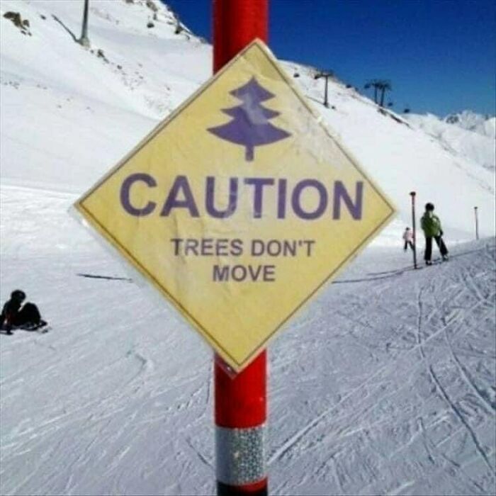 Yellow caution sign with a tree icon reading trees don’t move on a snowy ski slope in Canada, referencing Canada memes.