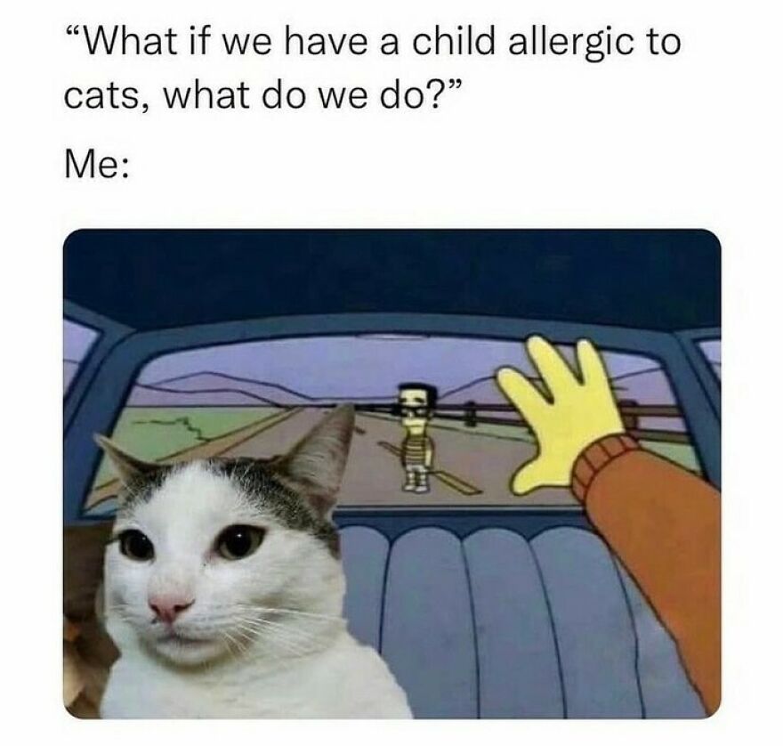 Cat meme showing a serious cat inside a car with a cartoon character waving, depicting funny cat humor.