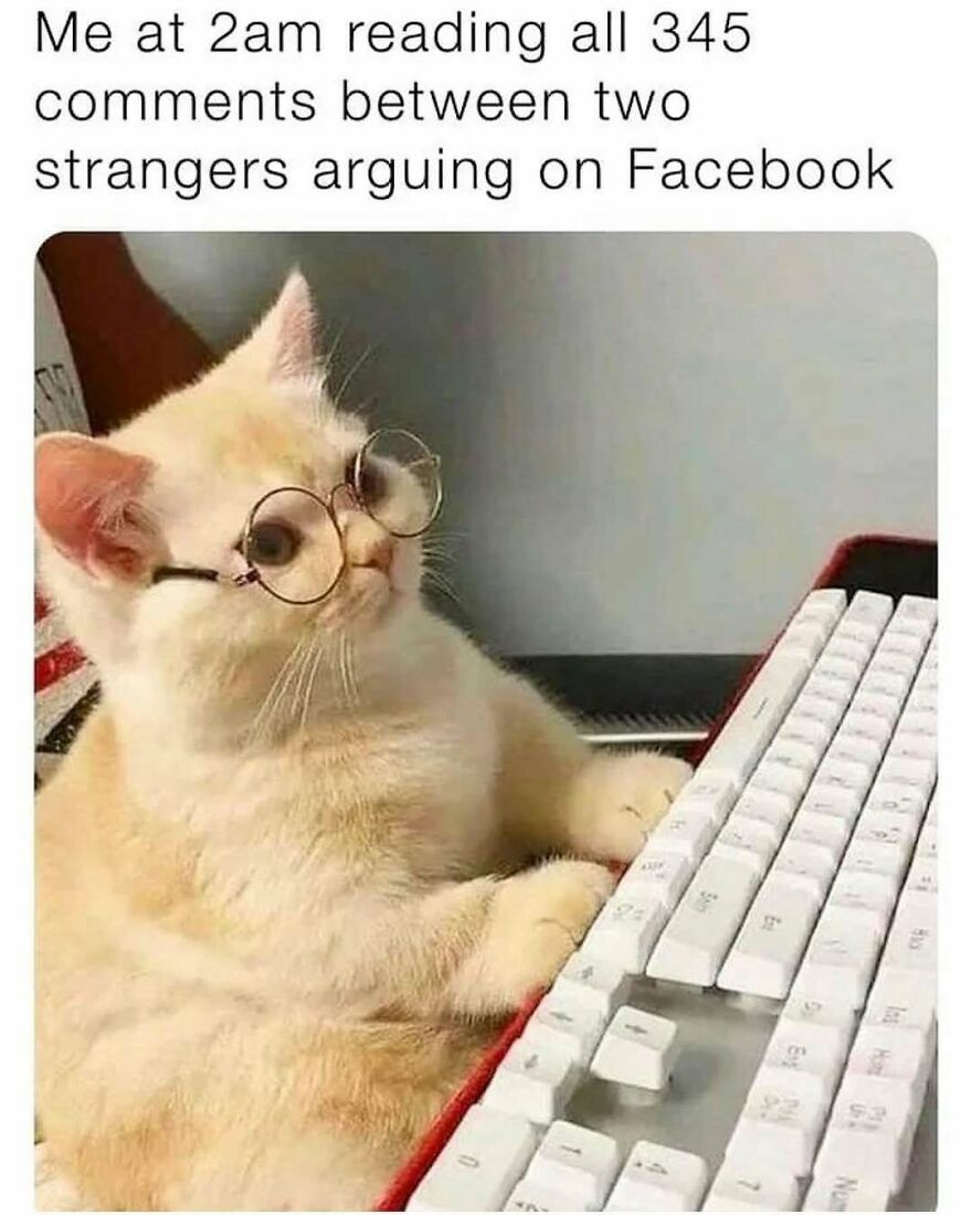 Cat wearing round glasses typing on a keyboard late at night, captured in a chucklesome cat meme about internet humor.