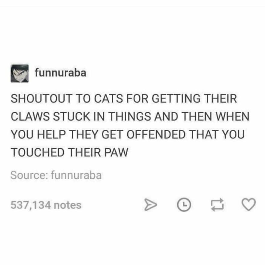 Text post humor about cats getting their claws stuck and then getting offended when helped, a chucklesome cat meme.