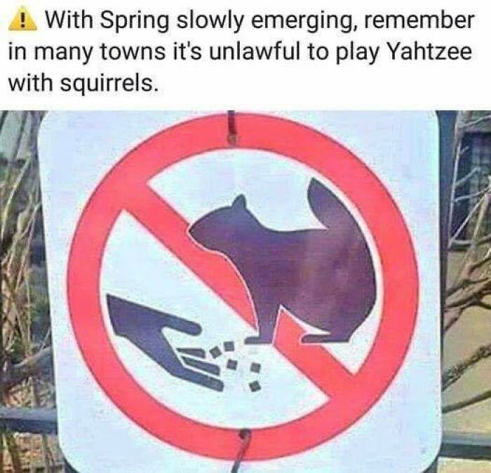 Warning sign showing no feeding squirrels with a funny Canada meme referencing spring and local laws.