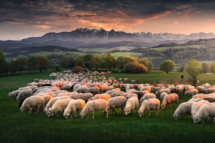 43 Photos By Karol Nienartowicz That Capture The Wild Beauty Of Poland’s Mountains