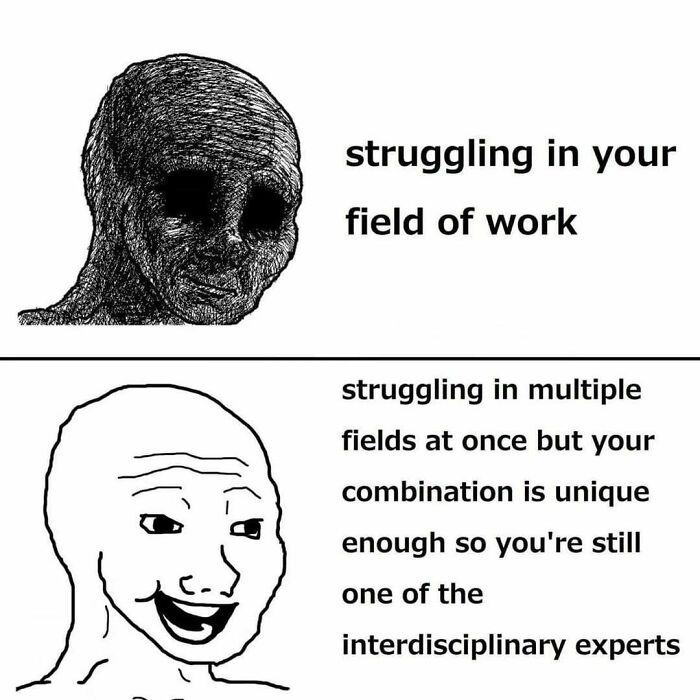 Two-panel meme showing contrasting expressions about struggling in work fields, highlighting existential crisis through humor.