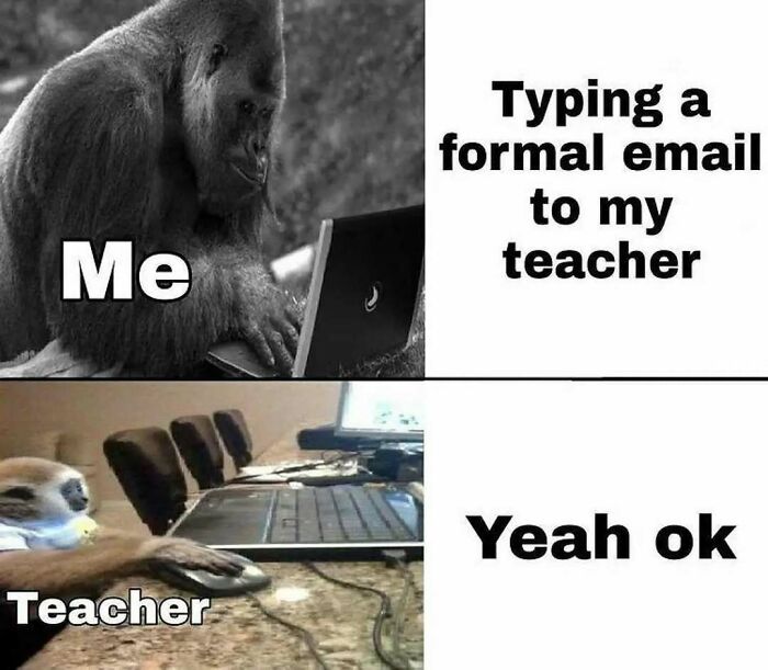 Gorilla typing a formal email to teacher contrasted with teacher casually replying yeah ok, a funny meme about communication.