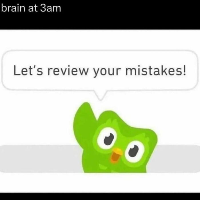 Cute green owl cartoon with text bubble saying Let's review your mistakes at 3am, relating to existential crisis memes.