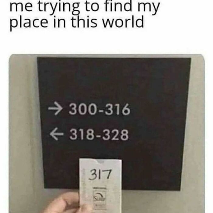 Person holding a ticket number 317, confused by signs showing different ranges, illustrating an existential crisis meme.