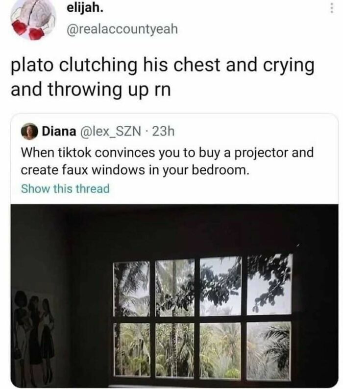 Tweet meme showing a humorous reaction to buying a projector for faux windows, highlighting existential crisis memes online.