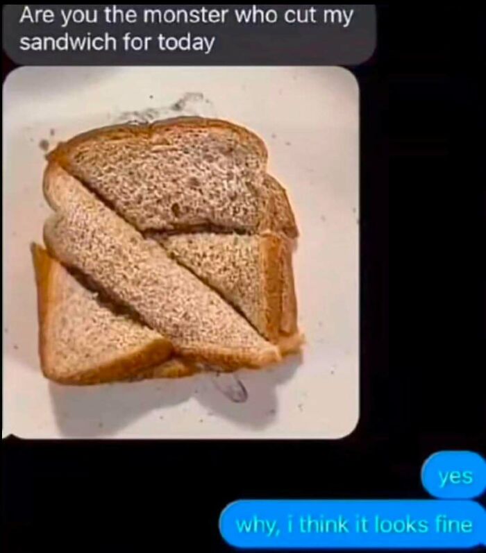 Text message conversation about a sandwich cut unusually, illustrating food and eating memes humor for enthusiasts.