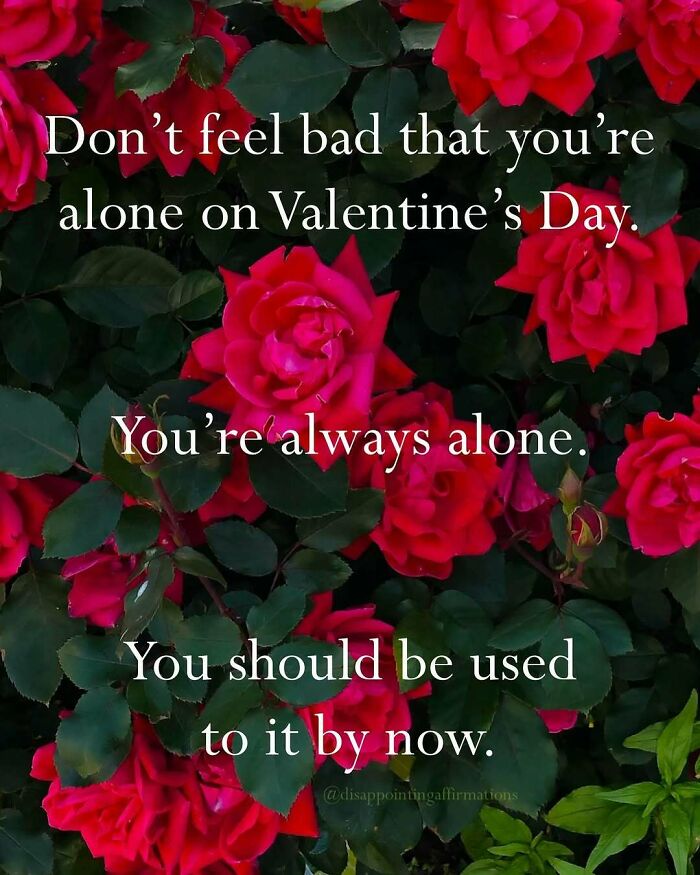 Anti-motivational affirmations text over red roses about being alone on Valentine's Day and getting used to it.