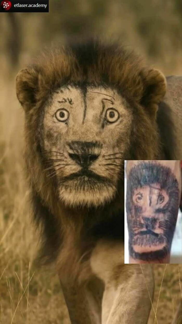 Lion face with a poorly done tattoo replica highlighting ink fails that turned bad ideas into permanent regrets.