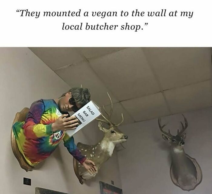Man in a colorful shirt mounted on wall holding salad menu, next to deer heads in a funny food and eating meme.
