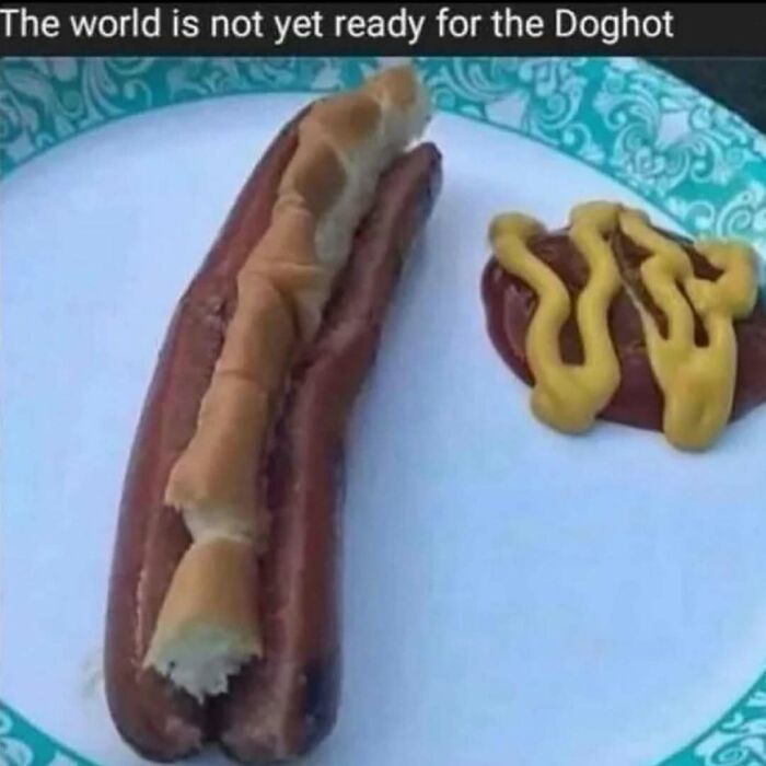 A hotdog on a plate with a broken bun, accompanied by ketchup and mustard, illustrating food and eating humor.