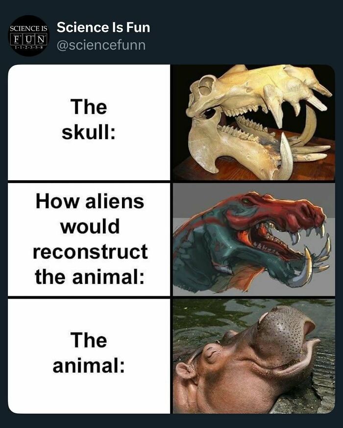 Humorous science meme showing skull, alien reconstruction, and real hippo to enjoy science memes and posts