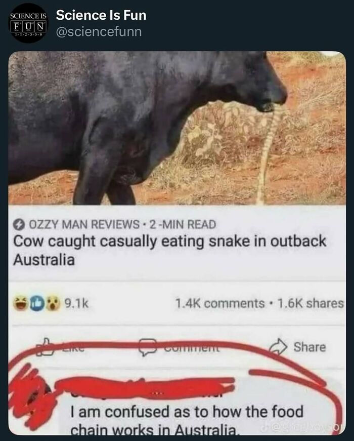 Cow casually eating snake in Australia shared in a science meme post highlighting interesting science facts.