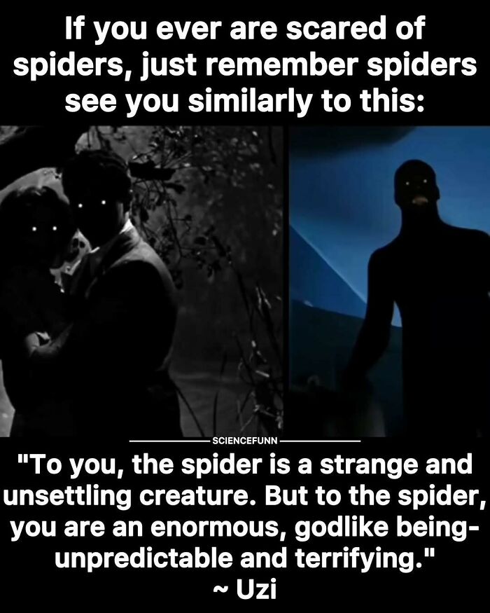 Meme explaining spiders see humans as enormous, godlike beings, highlighting humor in science memes and interesting posts.