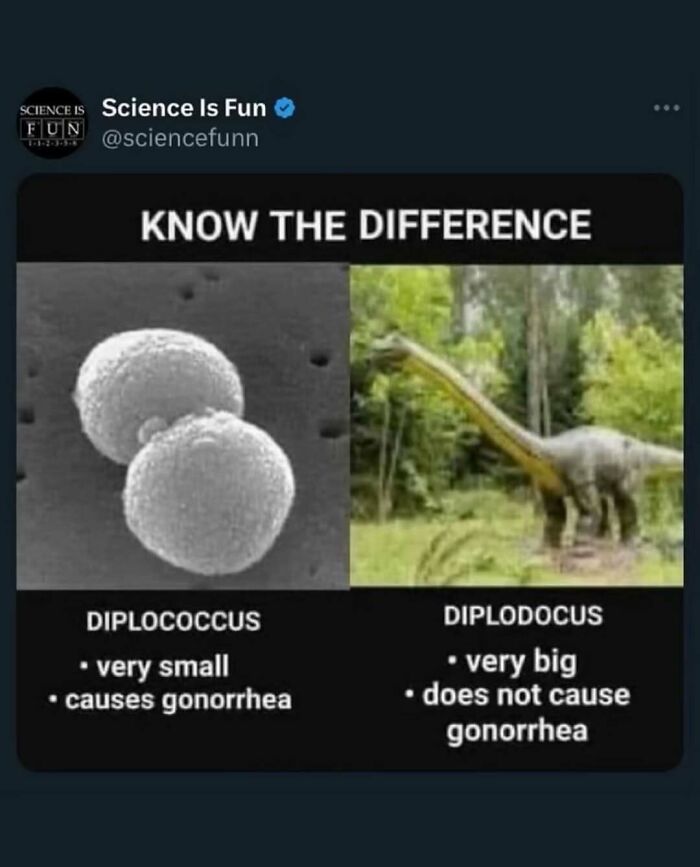Science meme showing difference between diplococcus bacteria and diplodocus dinosaur with fun science facts.