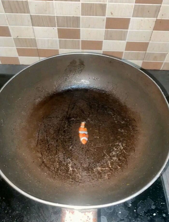 Small clownfish figurine in the center of a heavily burned and scratched frying pan, a cursed photo example.