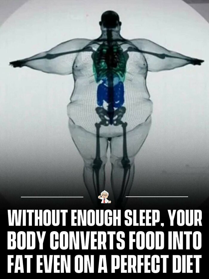 X-ray style image of a human body showing fat distribution with a fact about sleep and body fat from wholesome facts.