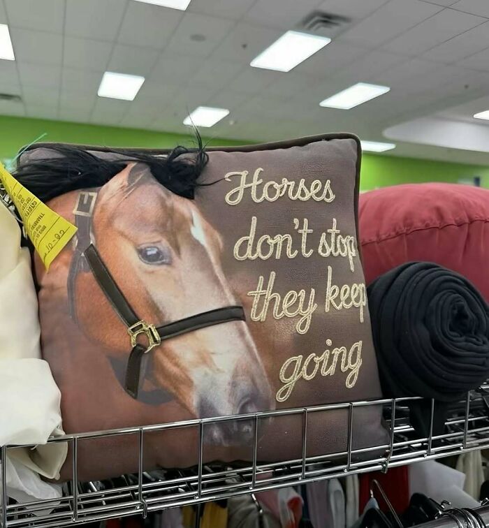 Pillow with a horse image and text partially obscured creating a cursed photo effect that makes zero sense.
