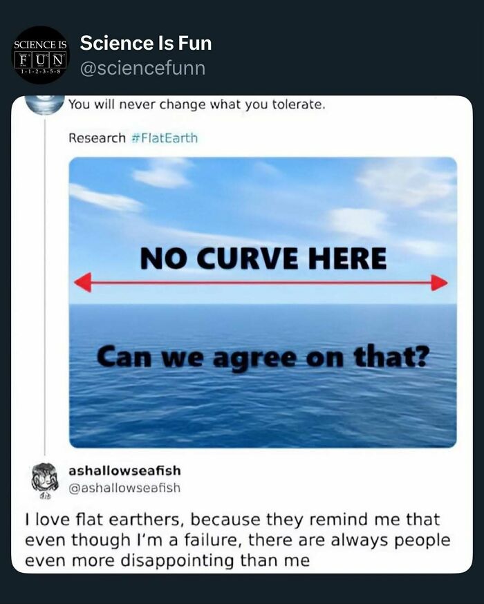 Flat Earth meme showing ocean horizon with text no curve here, humor in science memes for all audiences.