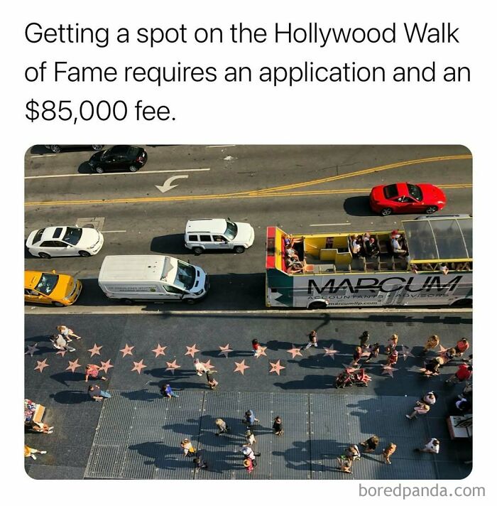Aerial view of people walking on the Hollywood Walk of Fame with cars and a tour bus nearby, showing surprising facts.