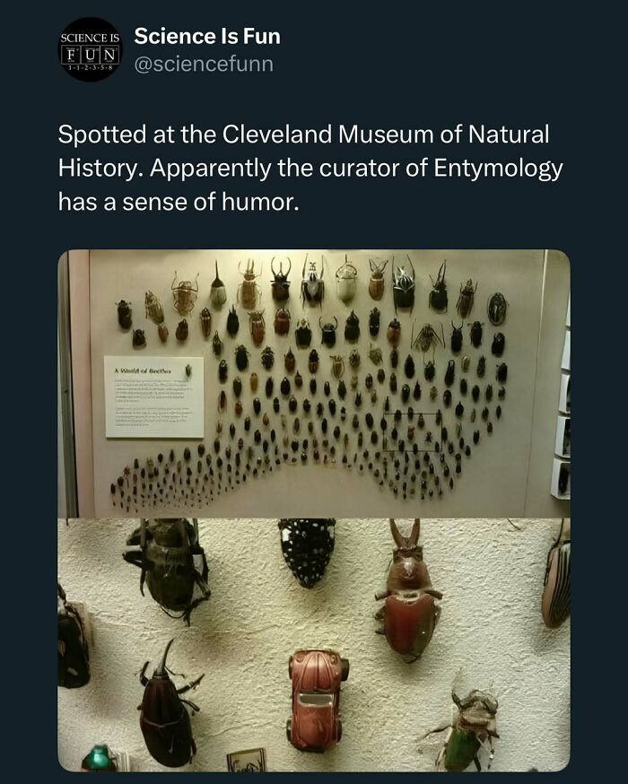 Insect display at the Cleveland Museum with humor elements featured in science memes and interesting posts.