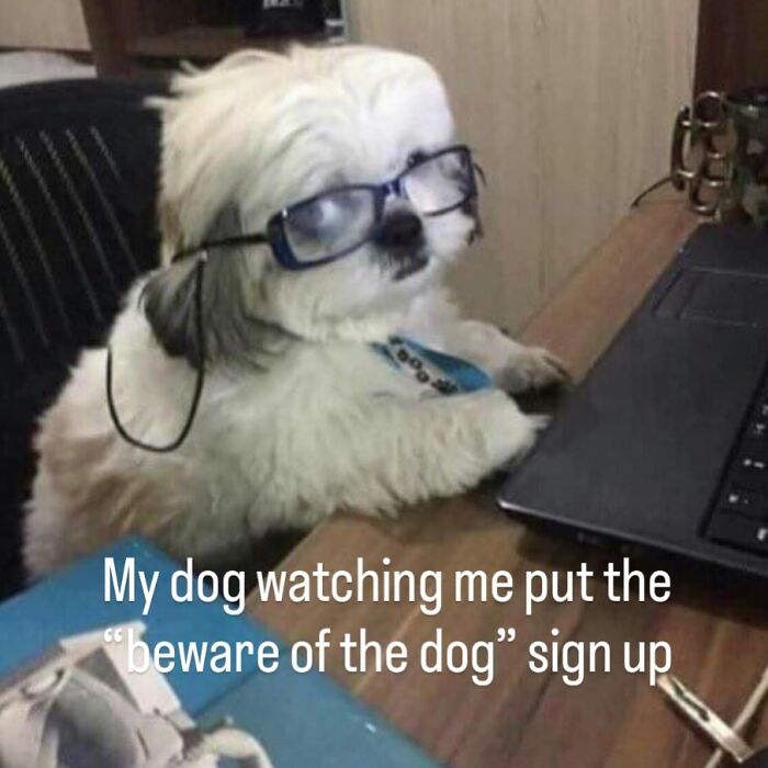 Funny-Pop-Culture-Memes-Jokes-Whatsif